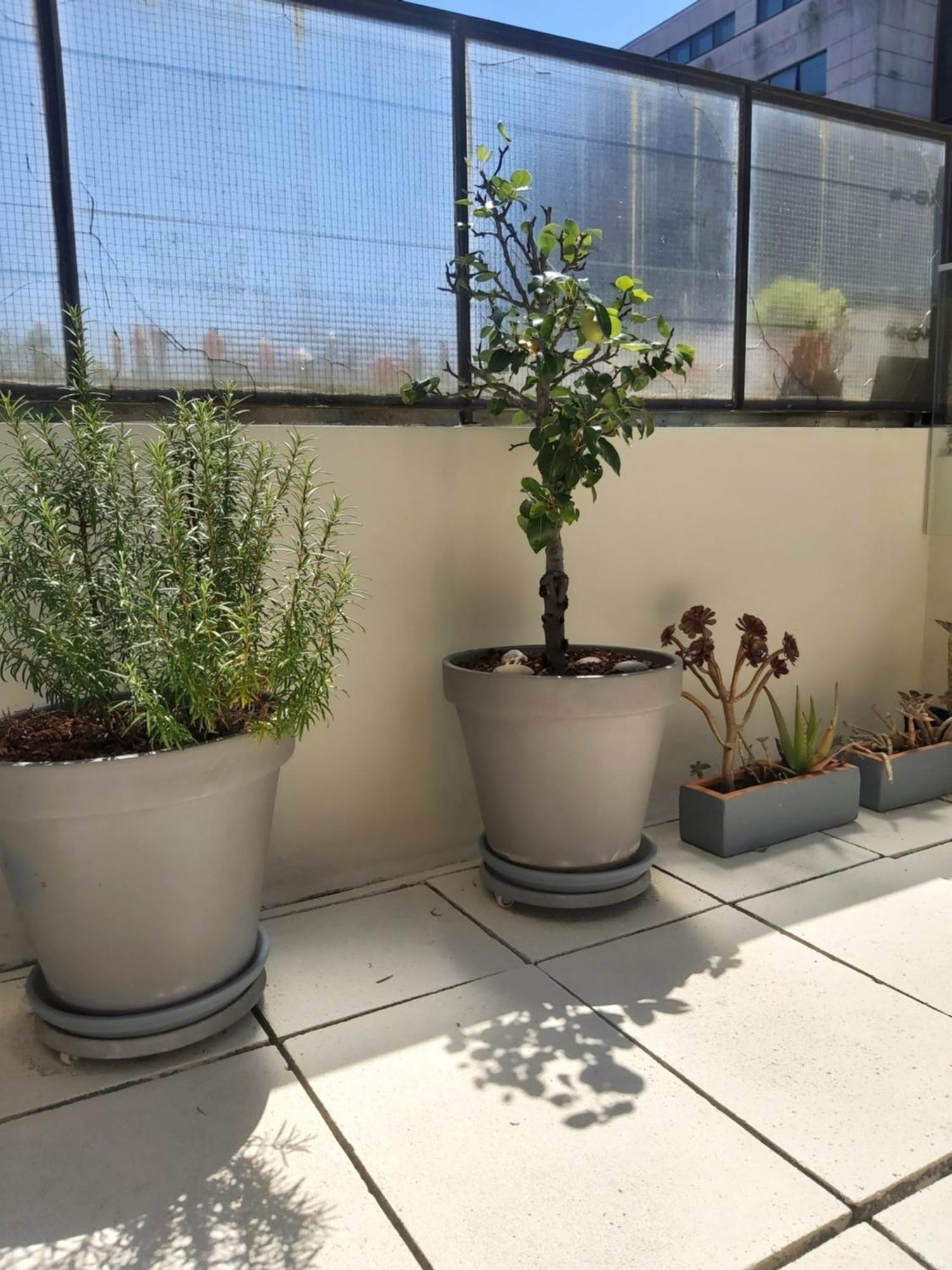 Porto Terrace Apartment エクステリア 写真