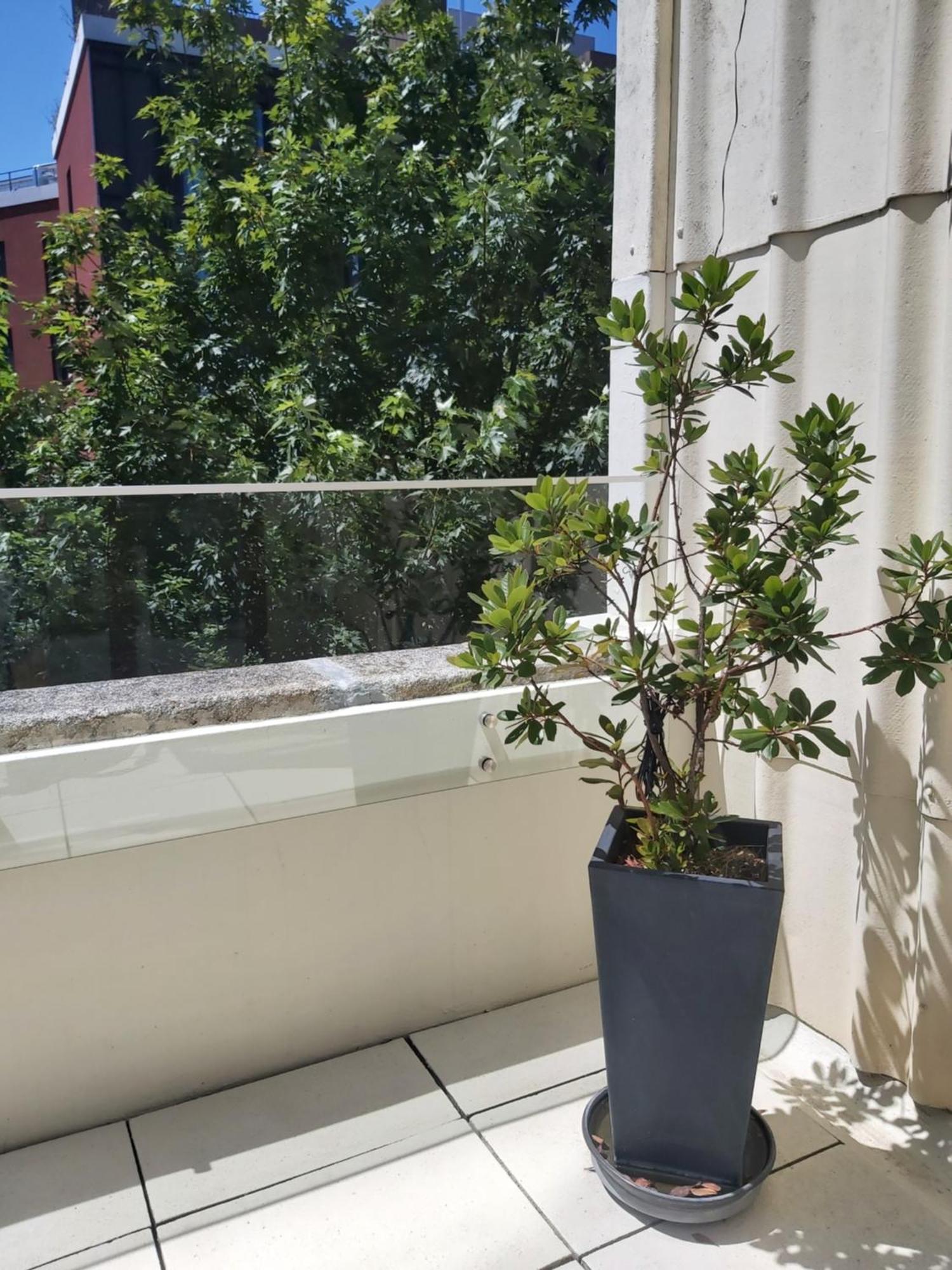 Porto Terrace Apartment エクステリア 写真